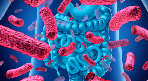 Image of probiotics for acid reflux.