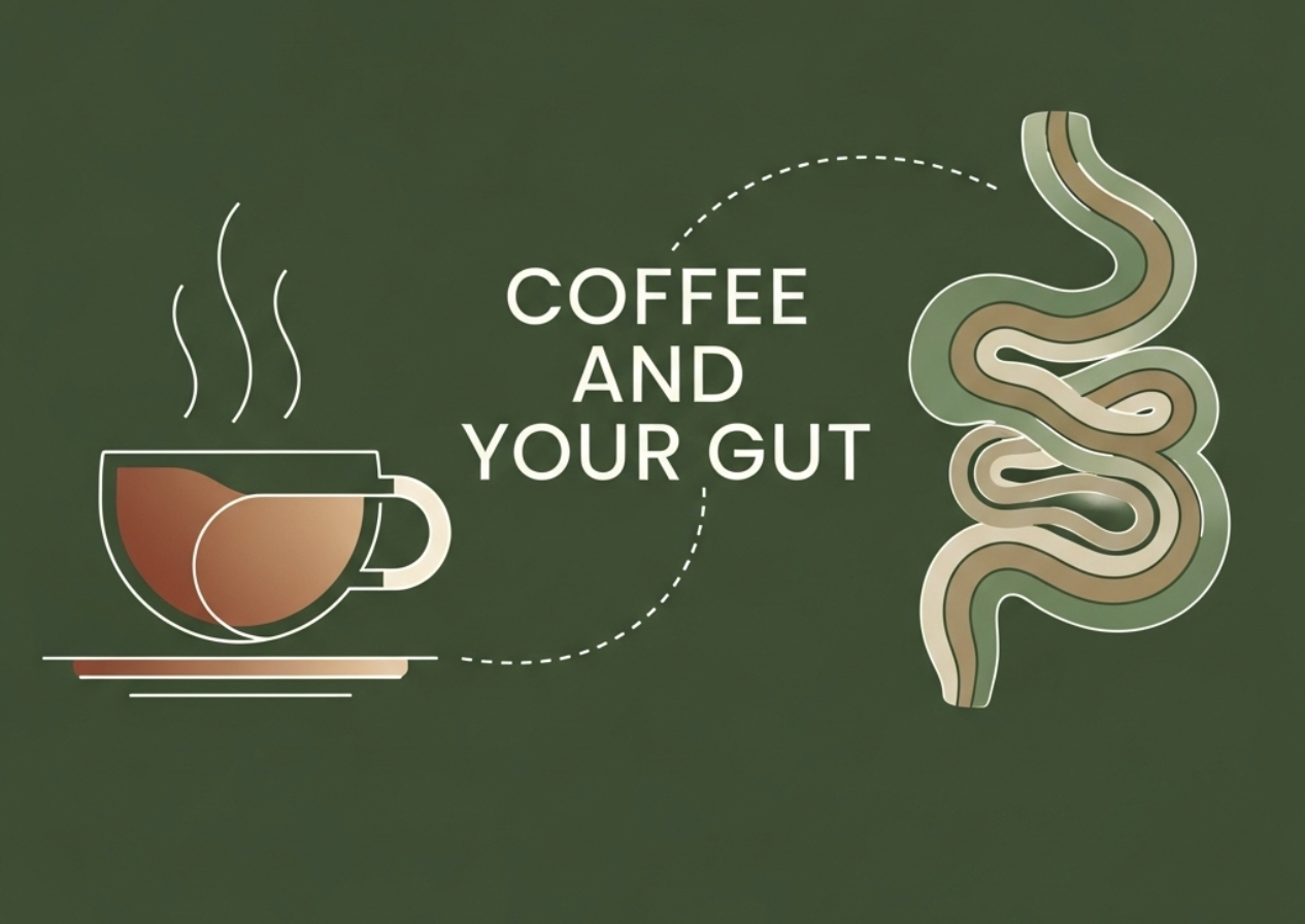Graphic showing a steaming cup of coffee linked to the digestive system, with text 'Coffee and Your Gut' — highlighting how coffee affects acid reflux and gut health.