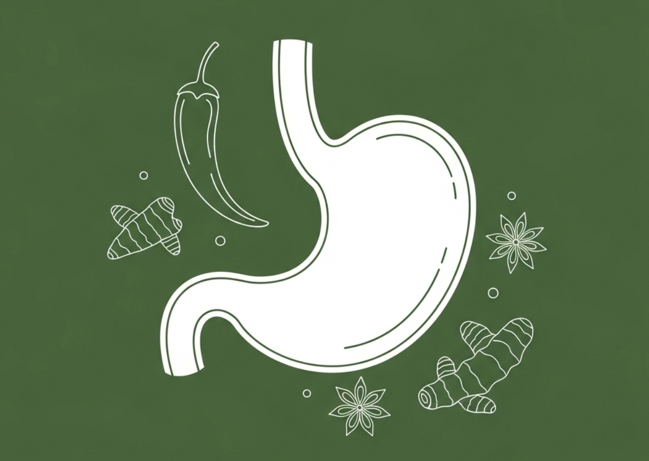 Illustration of a stomach with chili, turmeric, and spices – Indian food remedies for heartburn and acid reflux relief.