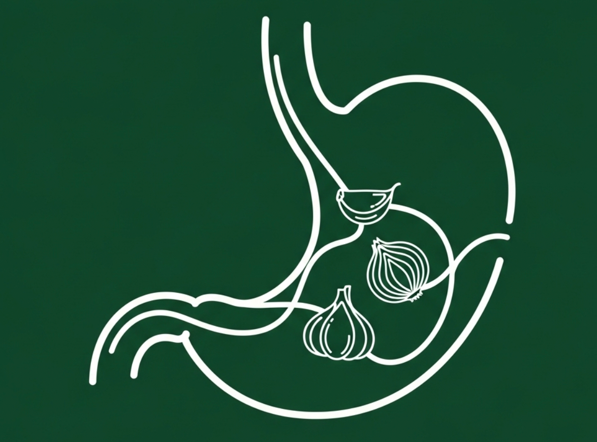 Minimal line art of a human stomach containing garlic and onions, symbolizing how these foods can trigger heartburn, for article on cooking tips to reduce acid reflux